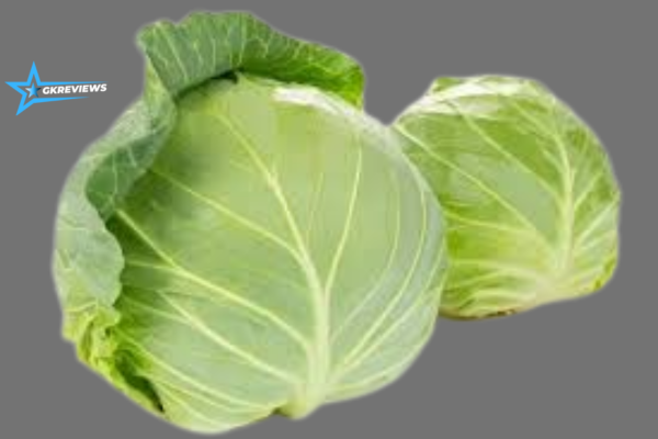 cabbage